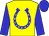 yellow, blue horseshoe, blue sleeves and cap