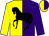 Yellow and purple halved, black horse