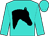 Turquoise, black horses head