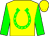 Yellow, Green Horseshoe,Green Sleeves, Yellow Cap