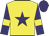 Yellow, purple star, purple sleeves, yellow armlets, purple cap
