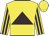 Yellow, brown triangle, brown stripes on sleeves