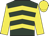 Hunter green, yellow chevrons, yellow sleeves, yellow cap