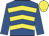 Royal blue & yellow chevrons, royal blue sleeves, yellow cap