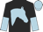 Black, light blue horses head, black and light blue halved sleeves, light blue cap