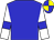 blue, white sleeves, blue armlets, blue and yellow quartered cap