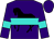 Purple, black horse, turquoise hoop, turquoise bars on sleeves