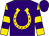 Purple, gold horseshoe, purple hoops on gold sleeves