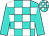 Turquoise and white blocks, turquoise sleeves