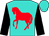 Turquoise, red horse, black sleeves