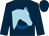 Dark blue, royal blue horseshoe, light blue horses head, light blue band on sleeves