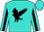 Turquoise, black golden eagle, black stripe on sleeves
