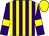 Purple & yellow stripes, yellow bars on purple sleeves, yellow cap