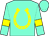 Aqua, yellow horseshoe, yellow bars on sleeves