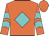 Orange, turquoise diamond, turquoise chevrons on sleeves