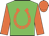 green, orange horseshoe, orange sleeves, orange cap