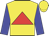 Yellow, red triangle, blue sleeves