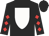 Black, white shield, red diamonds on sleeves