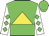Green, yellow triangle, green diamonds on white sleeves, green cap