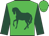 Lime green, dark green horse, dark green sleeves, lime green cap