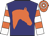 Navy, orange horses head, orange hoops on white sleeves,  orange & white hooped cap
