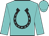 Turquoise, black horseshoe