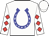 White, blue horseshoe, red diamonds on sleeves