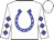 White, blue horseshoe, blue diamonds on sleeves