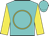 Turquoise, yellow circle, yellow sleeves