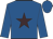 Royal blue, brown star, brown hoop on sleeves