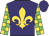 Purple, Gold Fleur-de-lys, Gold Blocks On Green Sleeves