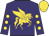 Purple, gold pegasus, gold spots on purple sleeves, gold cap