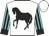 White, black horse, black stripes on turquoise sleeves, black cuffs
