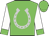 Green, silver horseshoe, white sleeves, green cuffs