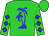 Lime green, blue palm tree, blue diamonds on sleeves