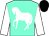 aqua, white horse, white sleeves, black cap