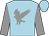 Light blue, grey golden eagle, grey sleeves