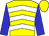 Yellow, white chevrons, blue sleeves