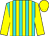Turquoise and yellow stripes, yellow sleeves, yellow cap