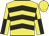 Yellow, black chevrons, yellow and black quartered sleeves, yellow cap