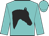 Turquoise, black horses head